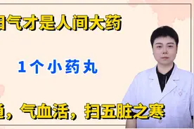阳气才是人间大药，1个小药丸，阳气通，气血活，扫五脏之寒视频封面