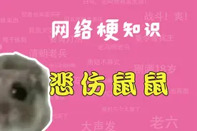 悲伤鼠鼠是什么梗？【网络梗知识】