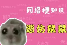悲伤鼠鼠是什么梗？【网络梗知识】视频封面