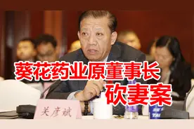 上市公司董事长为何沦为阶下囚，回顾葵花药业创始人关彦斌砍妻案视频封面