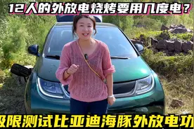极限测试比亚迪海豚电量只有30%来一次12人外放电烧烤要用几度电视频封面