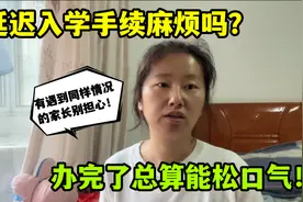 儿子延迟入学有影响吗？大姐几经周折办手续，专业人员咋说？视频封面