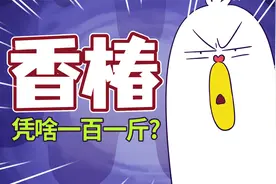 香椿这么难吃，凭啥卖一百一斤？