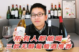 不能喝酒就喝它！三款进口无醇葡萄酒推荐，品质高开车也能喝视频封面
