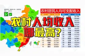 农村居民人均可支配收入@DOU+小助手视频封面