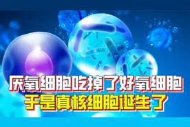 厌氧细胞吃掉了好氧细胞，于是真核细胞诞生了，真是这样吗？