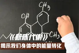 新陈代谢：揭示我们身体中的能量转化视频封面