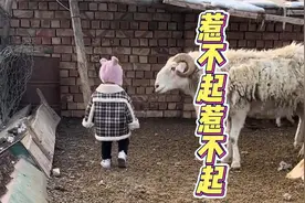 做羊也要懂人情世故视频封面