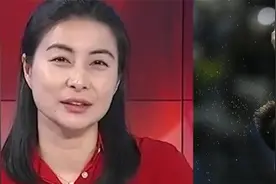 全红婵事情最新结果，裁判或被罚禁赛，郭晶晶将公正处理，