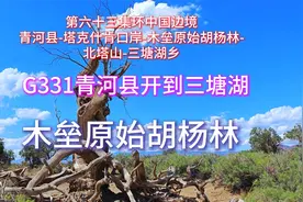 G331青河县开到三塘湖，木垒原始胡杨林视频封面