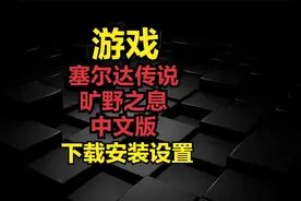 113，塞尔达传说：旷野之息-中文版-下载安装设置