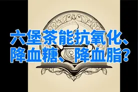 六堡茶能抗氧化、降血糖、降血脂？视频封面
