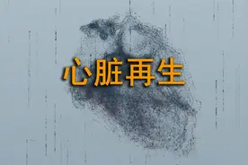 【前沿科学】心脏再生重大突破！视频封面