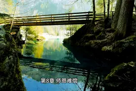 番茄小说《还剩三个月命，请让我从容赴死》视频封面