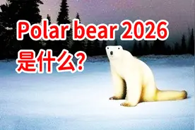“Polar bear 2026”是什么？诡异北极熊！这也能开车？！