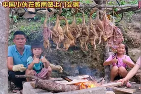 广西小伙在越南做上门女婿，和妻子宰十只鹅做腊鹅，遗憾没儿子视频封面