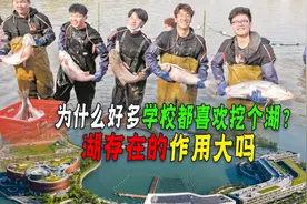 为什么每个大学都有一个人工湖？人工湖作用是啥？真是为了捕鱼吗视频封面