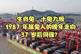 生肖兔：十兔九顺，1987 年属兔人的晚年走向，37 岁后何缘？视频封面