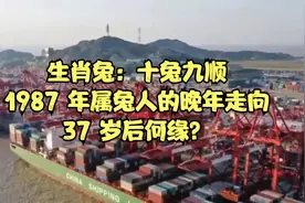 生肖兔：十兔九顺，1987 年属兔人的晚年走向，37 岁后何缘？视频封面