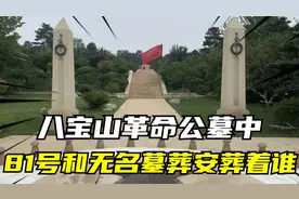 英烈长眠、精神永存，八宝山革命公墓中，81号和无名墓葬安葬着谁视频封面