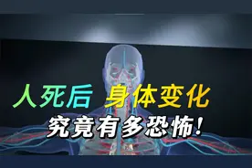 如果不幸被抛尸野外，身体会有什么变化？为什么会有巨人观？