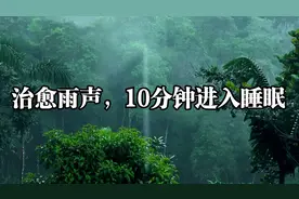 治愈雨声，10分钟进入睡眠，雨声白噪音、催眠曲