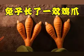 明明是只兔子，却长了一双鸡爪视频封面