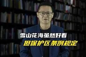 雪山花海好看，但得遵守保护区条例，大伙以后也别去了！视频封面