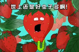 恶搞之家：皮特自诩前世是颗草莓，每天沐浴阳光过着充实的生活视频封面