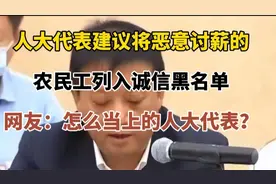 人大代表提议将恶意讨薪农民工列入黑名单  网友咋当上的人大代表视频封面