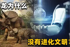 恐龙统治地球近2亿年，为什么没有发展出像人类一样的文明？视频封面