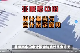 非吸案中的审计报告与会计鉴定意见视频封面