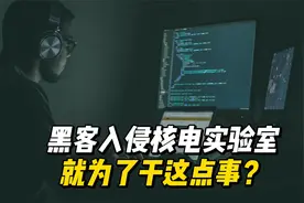 黑客入侵核电实验室就为了干这点事？视频封面