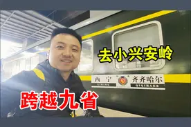 小伙与家人分别，一个人坐火车50多小时，去小兴安岭卖木耳视频封面