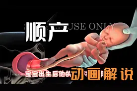 【解说】宝宝时如何顺产的？视频封面