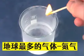 地球最多的气体-氮气，让你觉得买薯片很值视频封面