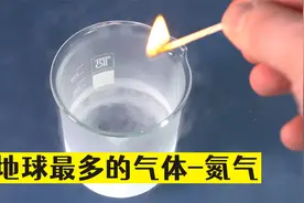 地球最多的气体-氮气，让你觉得买薯片很值视频封面