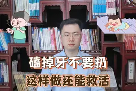 磕掉的牙千万别扔！牙医支招：立即泡牛奶里还能“救活”视频封面