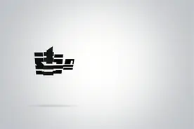 寄人篱下的炮灰，印度军队中的特殊部队，成员清一色中国人面孔