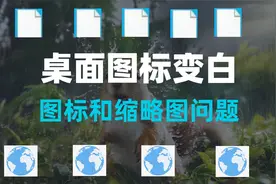 常见Windows图标和缩略图问题的解决方法 steam图标变白、变地球