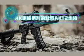 AK系列最叛逆的AK12，堪称AK系列的灾难
