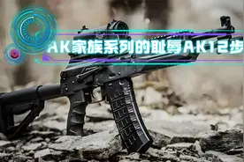 AK系列最叛逆的AK12，堪称AK系列的灾难