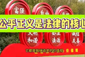 公平正义是法律的核心视频封面