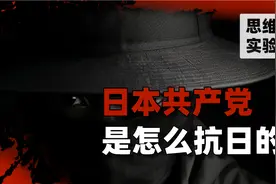 日本共产党在抗日战争中都干出了什么？视频封面