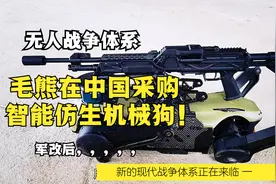 机器人时代已经来临无人战争体系的崛起，毛熊在华采购智能机器狗视频封面