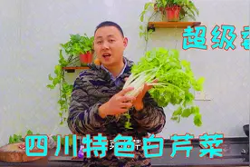 家常菜芹菜炒肉丝，芹菜选对了香味提升一半，脆嫩鲜香好吃又下饭