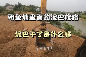 用鱼塘里面的泥巴修一条路，泥巴干了就是土。视频封面
