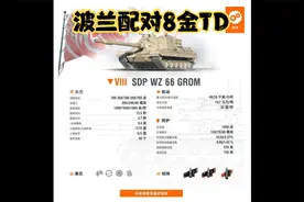 坦克世界 波兰新8金TD前瞻SDP-WZ66