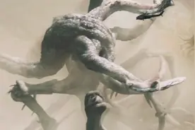 外星怪兽衝破禁区封锁，人类被迫为生存挣扎，可胜利希望实在渺茫视频封面