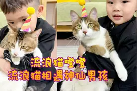当流浪小猫遇到了神仙男孩！灵魂一旦被爱，血肉就会疯狂生长！视频封面